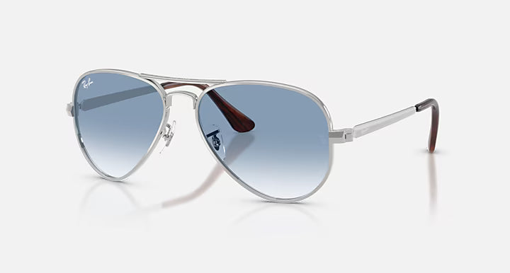 RayBan RB3925 Aviator Max 003/3F 58