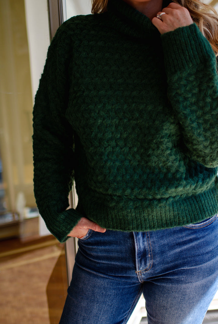 See It Through Knit Turtleneck Sweater in Forest Green