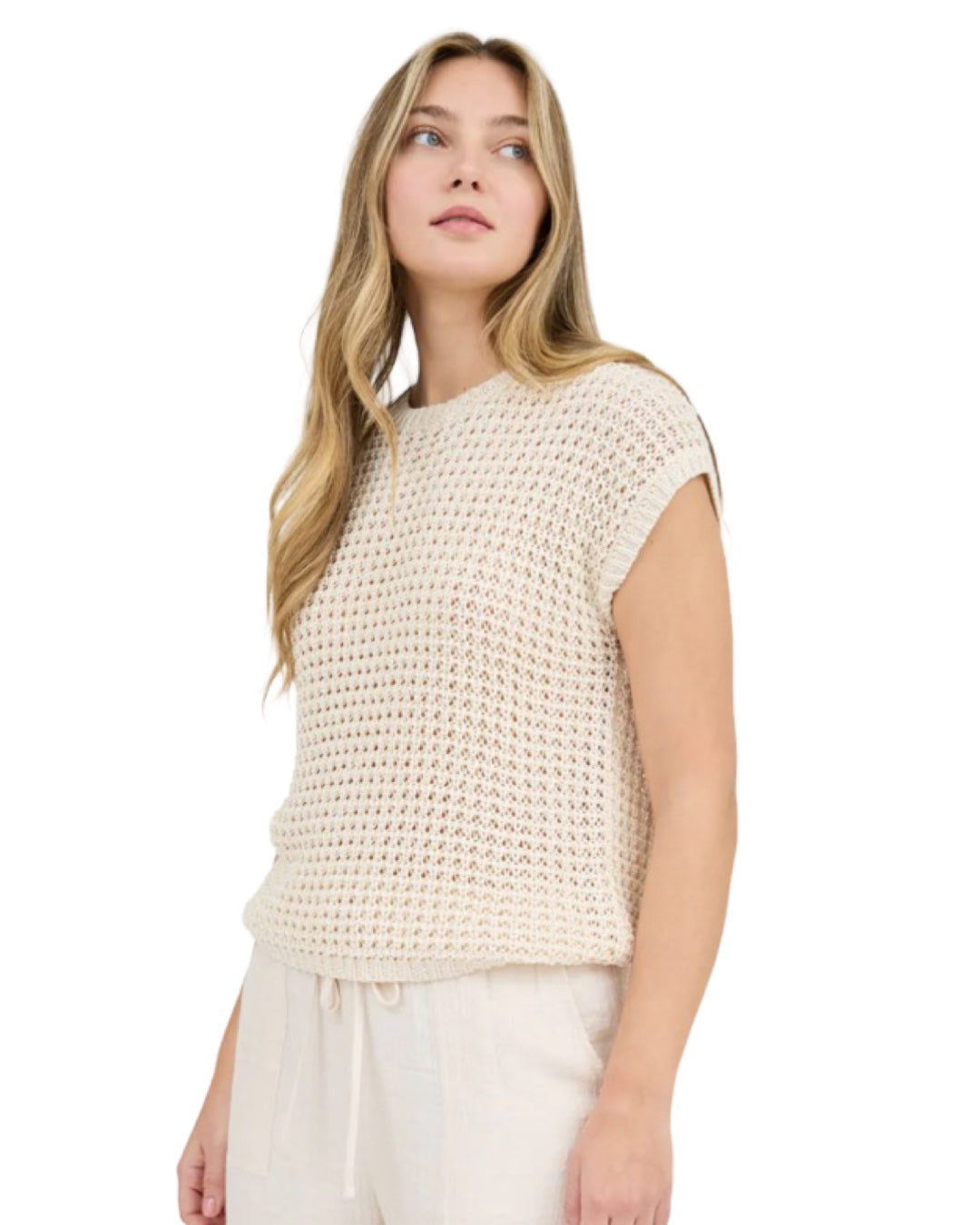 Sweet Summer Crochet Knit Sweater Top in Oatmeal