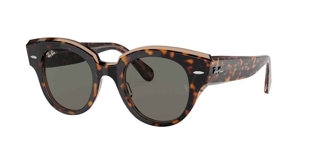 Ray-Ban ROUNDABOUT Polished Havana on Transparent Brown