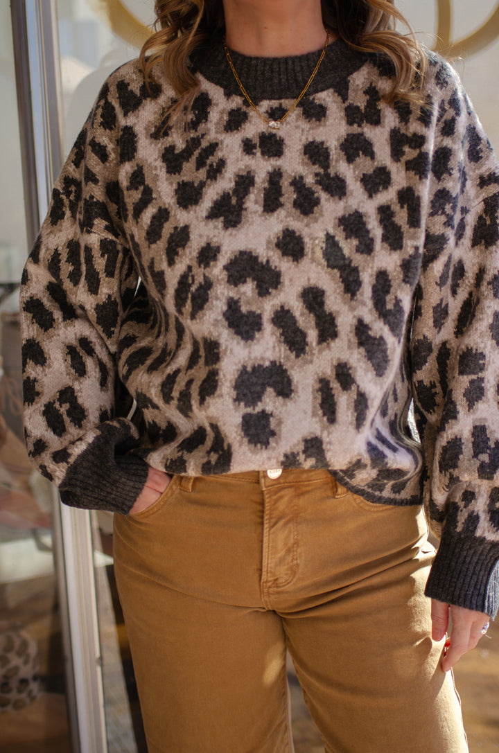 Wild & Cozy Knit Leopard Sweater in Black