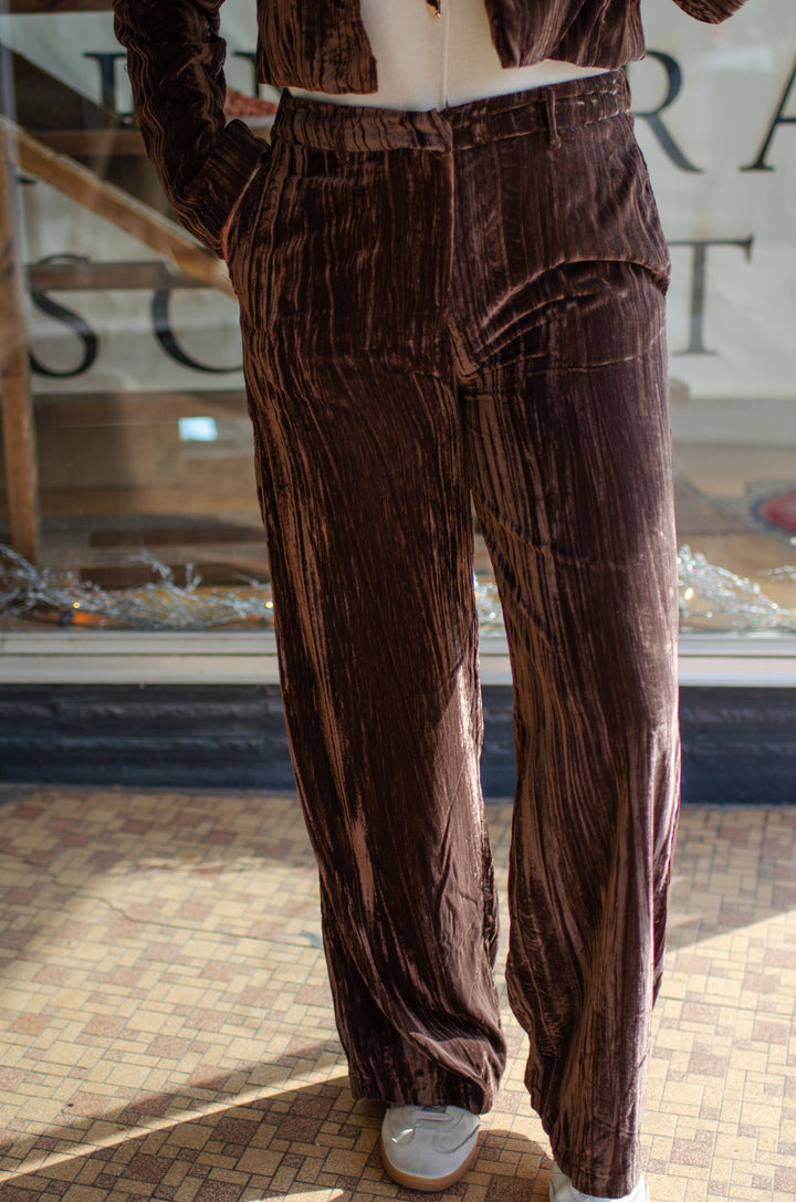 Pure Luxury Chocolate Brown Crushed Velvet Mid Rise Pant