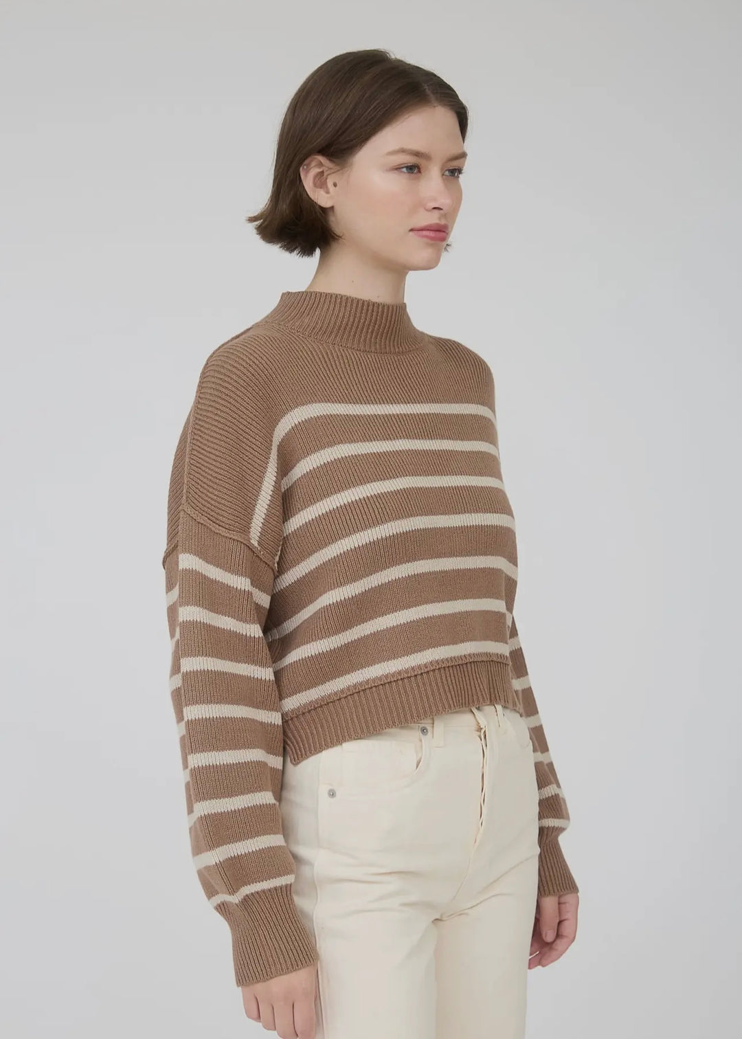 Cafe Latte Stripe Mock Neckline Long Sleeve Sweater in Cocoa