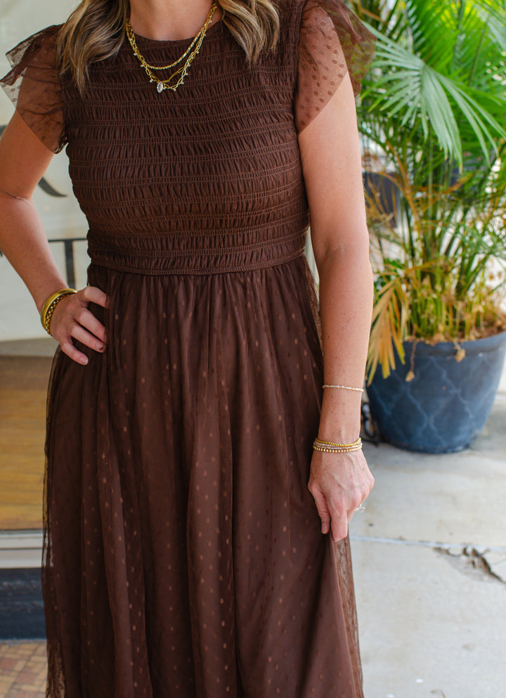 Dreamy Sweetness Swiss dot Dress in Brown