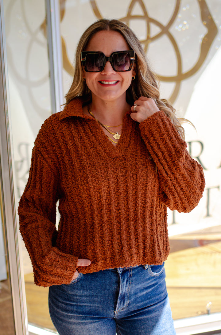 Autumn Chic Collared V-Neck Long Sleeve Soft Knit Sweater in Chestnut