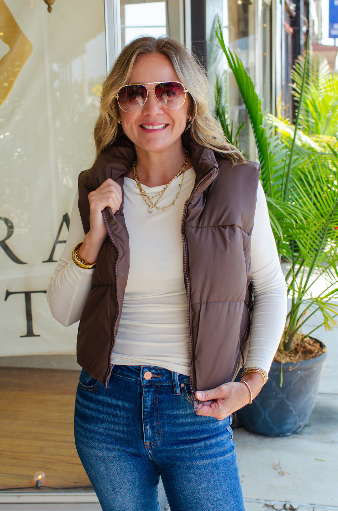 Winter Wishes Puffer Vest in Brown