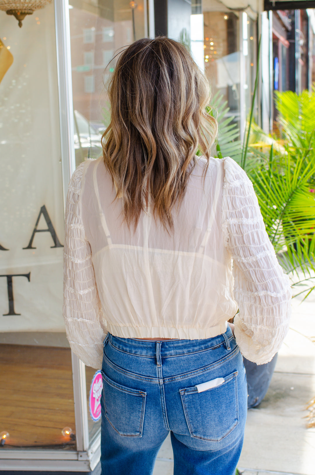 Delicate Detail Pleated Sheer Long Sleeve Blouse in Cream