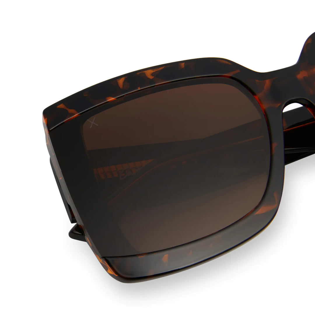 Dime Onyx Tortoise + Brown Polarized Sunglasses