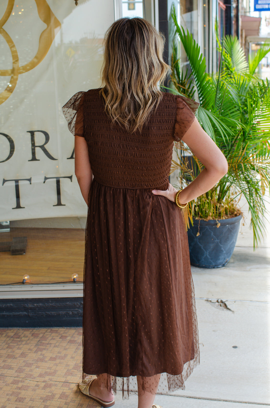 Dreamy Sweetness Swiss dot Dress in Brown