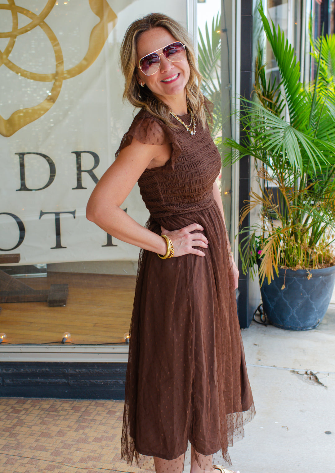 Dreamy Sweetness Swiss dot Dress in Brown