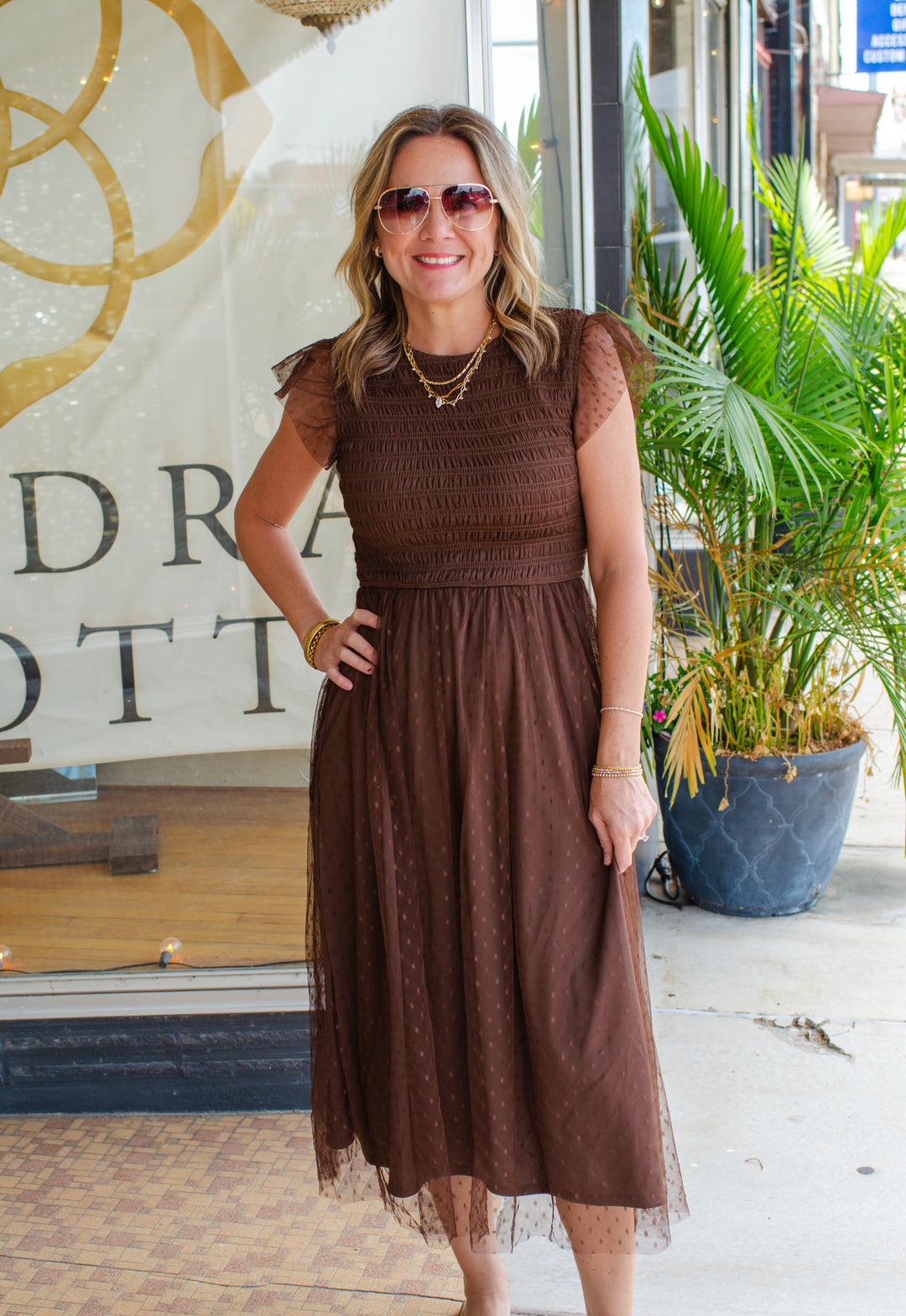 Dreamy Sweetness Swiss dot Dress in Brown