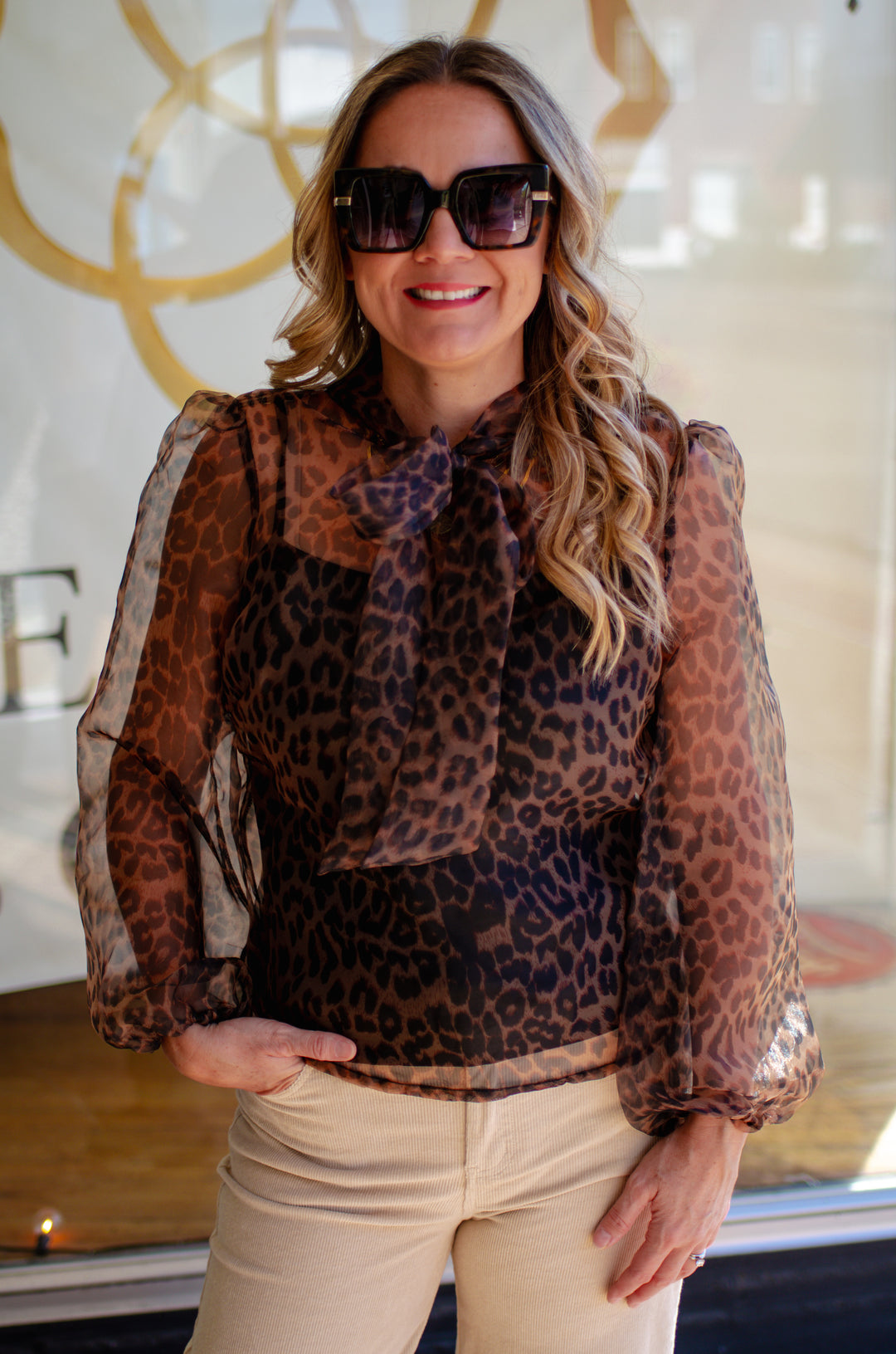 Wild Side Leopard Tie Neck Sheer Blouse