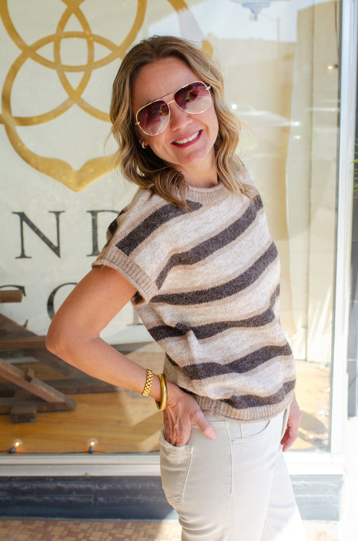 Dreams Come True Short Sleeve Stripe Sweater Top in Brown Mix