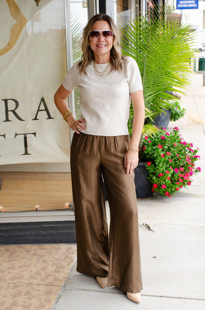 Metallic Moments Shimmer Wide Leg Pull On Pants in Brown Metallic