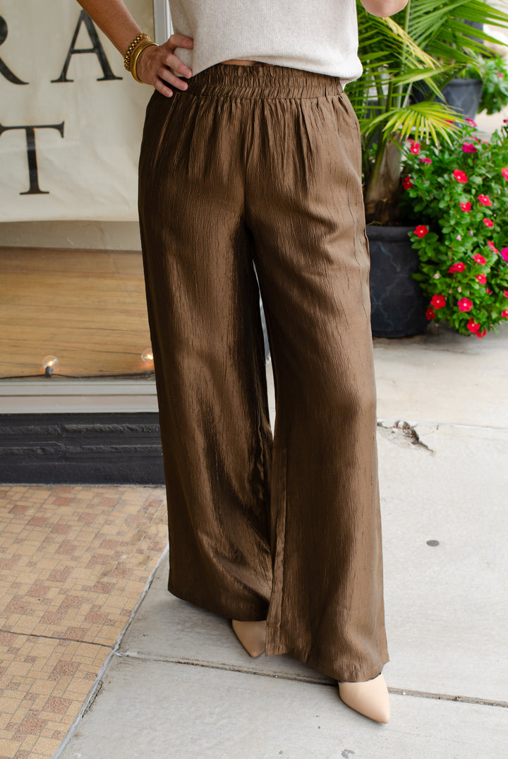 Metallic Moments Shimmer Wide Leg Pull On Pants in Brown Metallic
