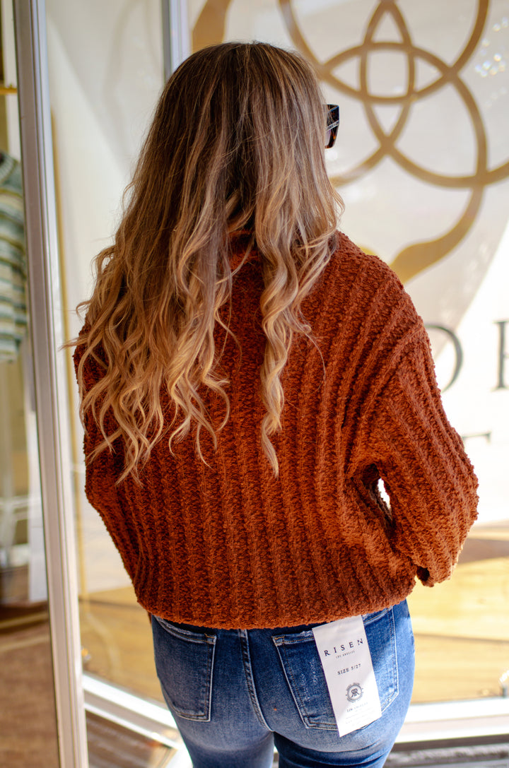 Autumn Chic Collared V-Neck Long Sleeve Soft Knit Sweater in Chestnut