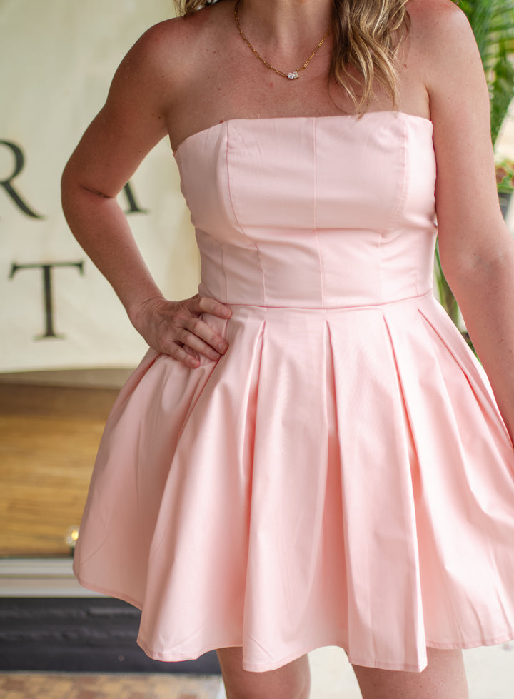 Take Your Time Corset Top Pleated Skirt Tulle Dress in Pink