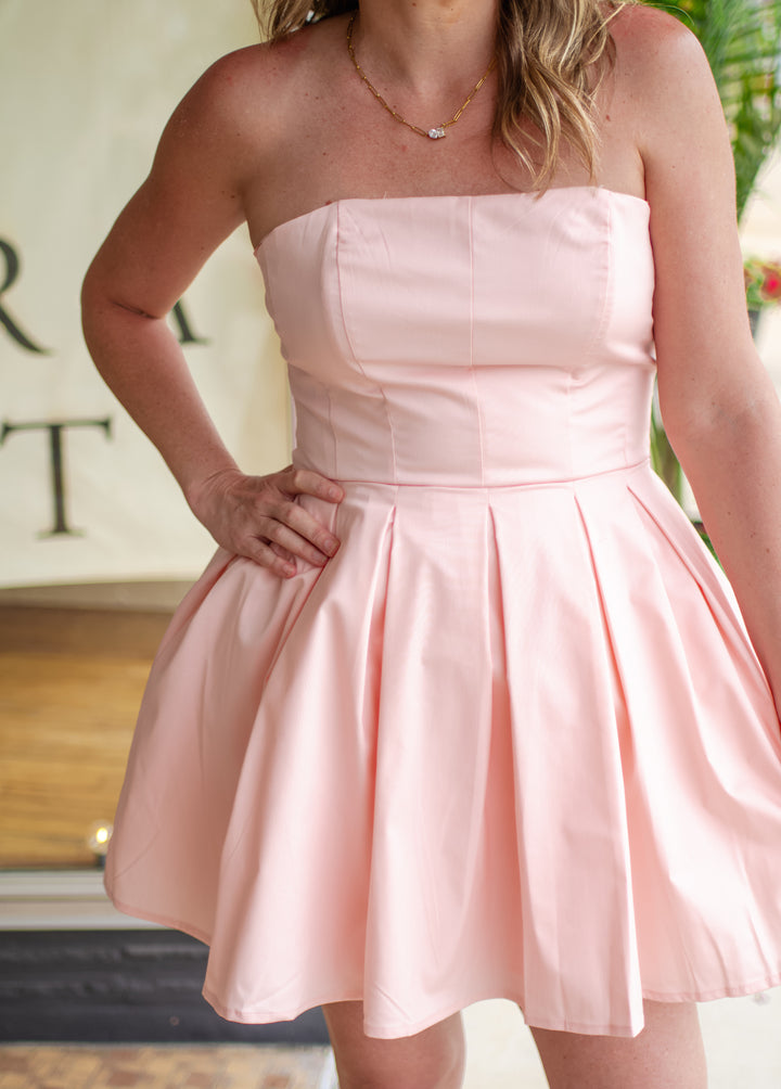 Take Your Time Corset Top Pleated Skirt Tulle Dress in Pink