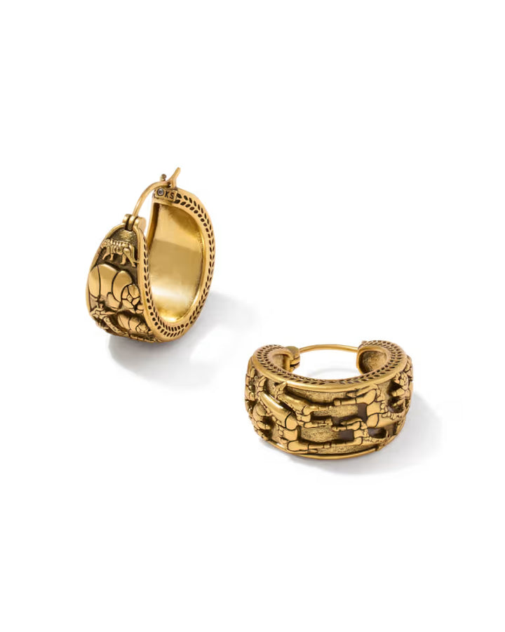 Kendra Scott Raina Hoop Earring Vintage Gold